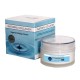 Regenerating night cream